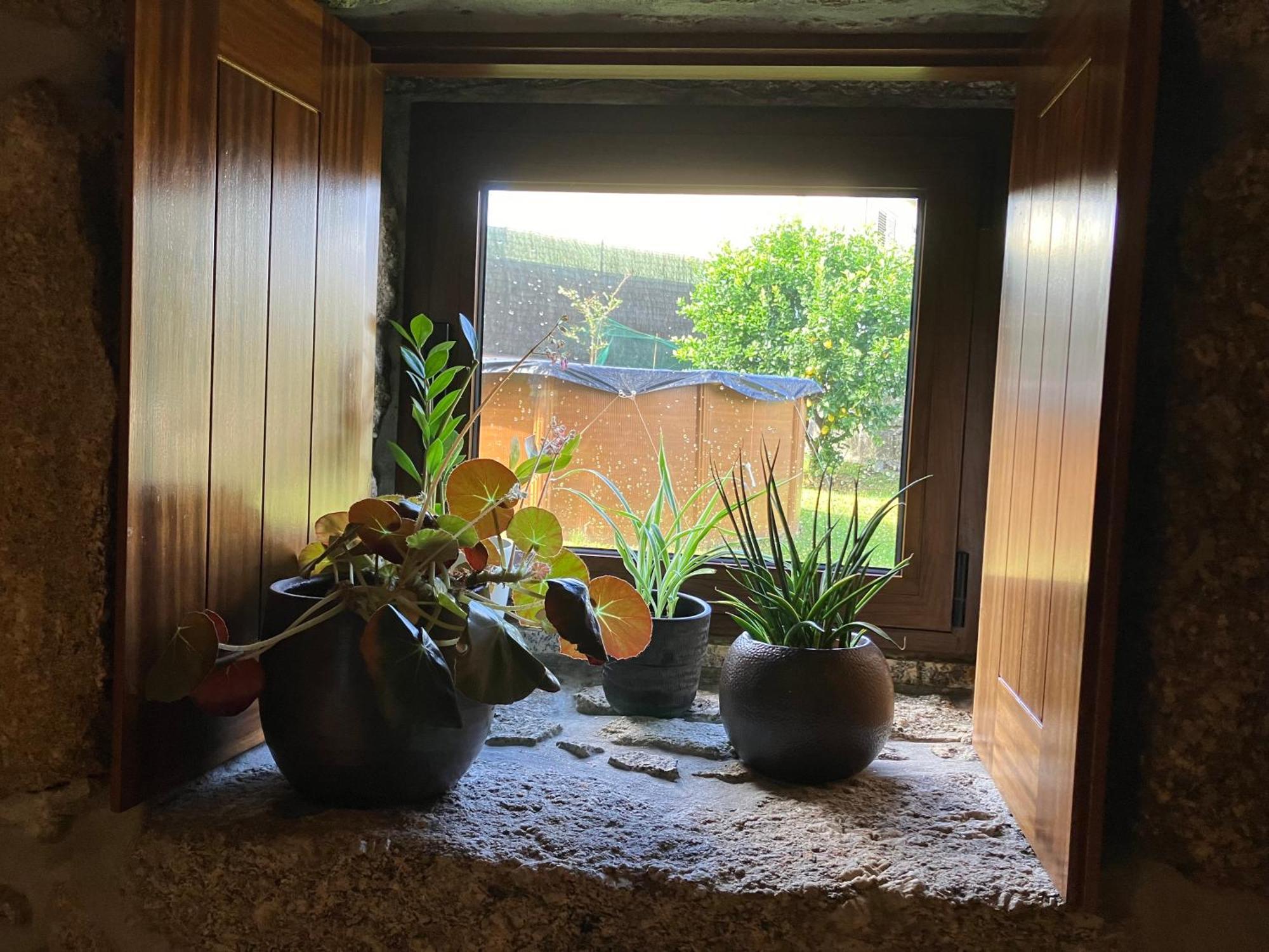 Bergui Guesthouse - Em Guimaraes Desde 2017 Bagian luar foto